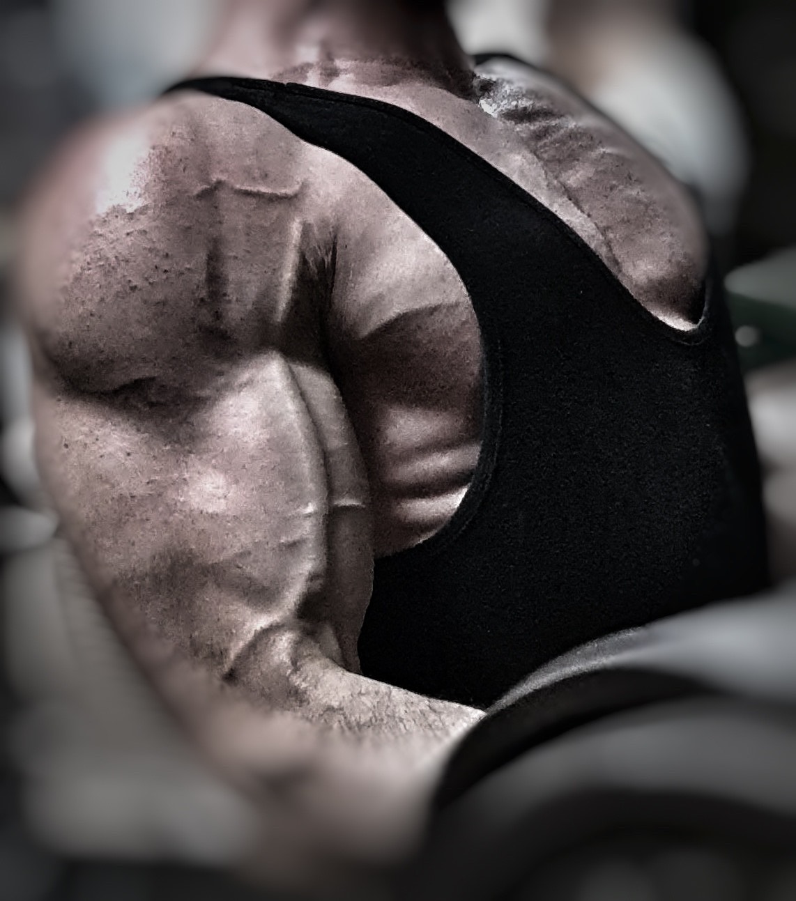 The 4 Pillars of Muscle Growth